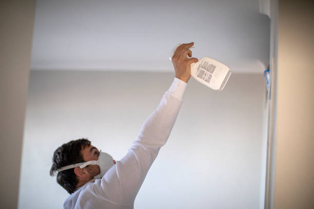 Certified Mold Removal in Waycross, GA