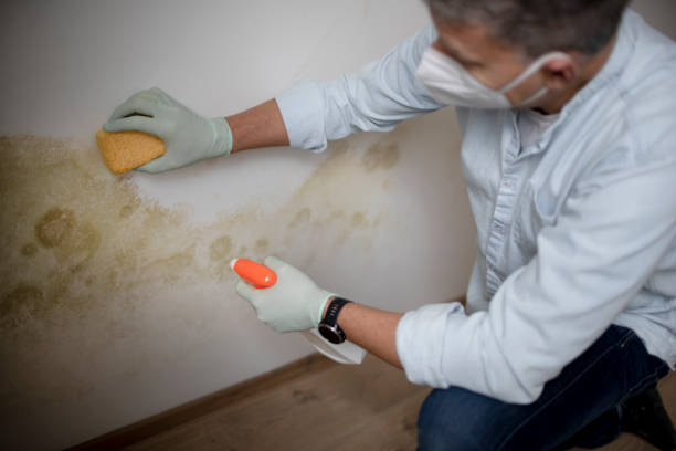 Best Mold Testing  in Waycross, GA