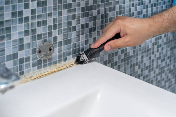Best Mold Remediation  in Waycross, GA